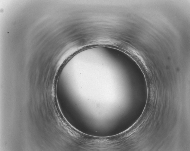 X0000086981328200704231810