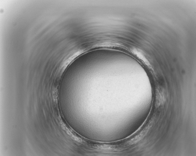 X0000086981329200704231810