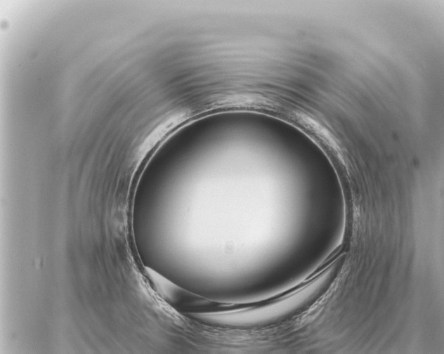 X0000086981330200704231810