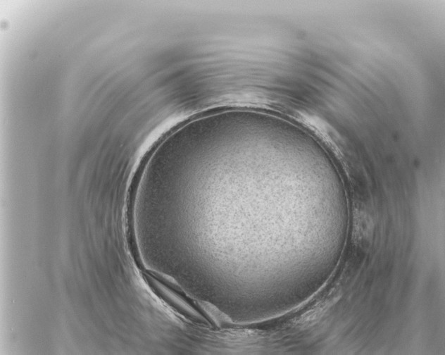 X0000086981331200704231810