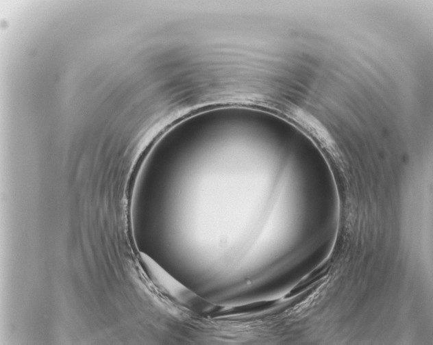 X0000086981332200704231810