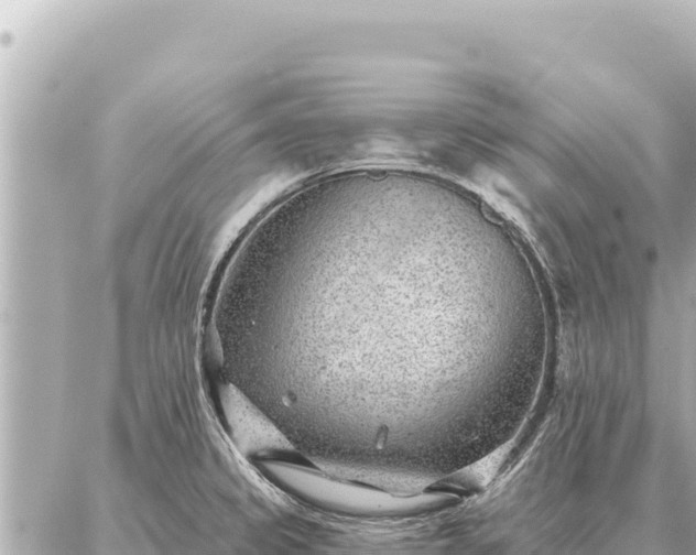 X0000086981333200704231810