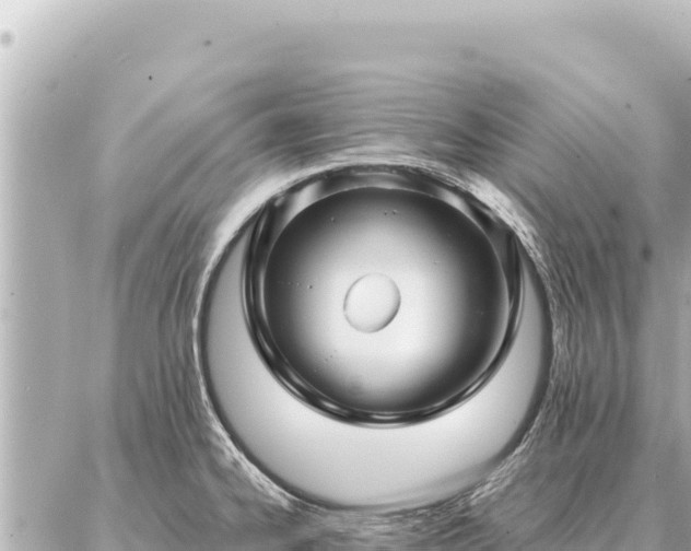 X0000086981334200704231810