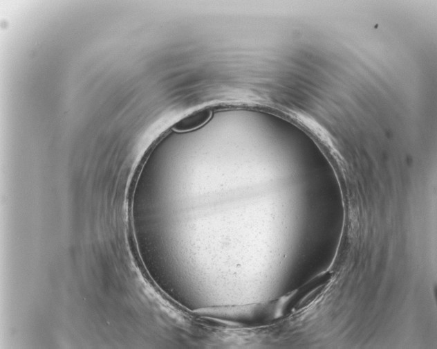 X0000086981335200704231810