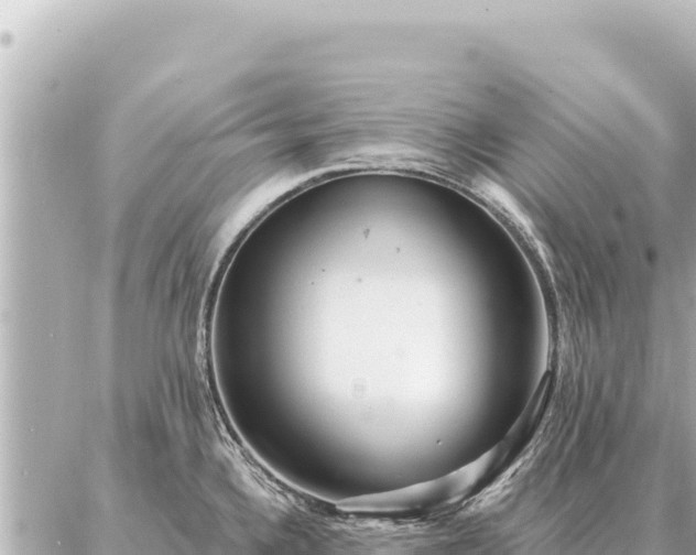 X0000086981336200704231810