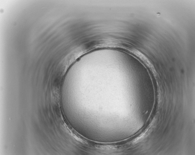 X0000086981337200704231810