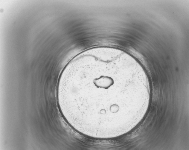 X0000086981338200704231810