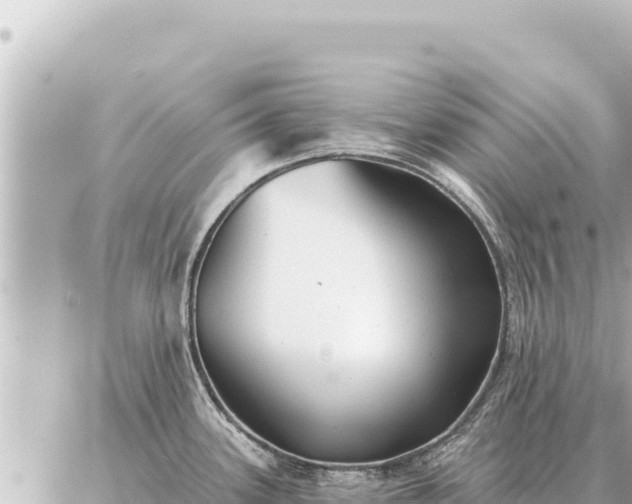 X0000086981339200704231810