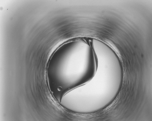 X0000086981340200704231810