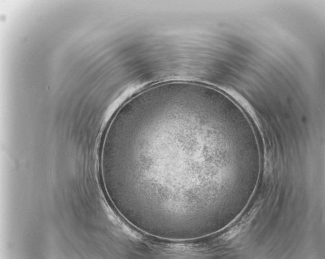 X0000086981341200704231810