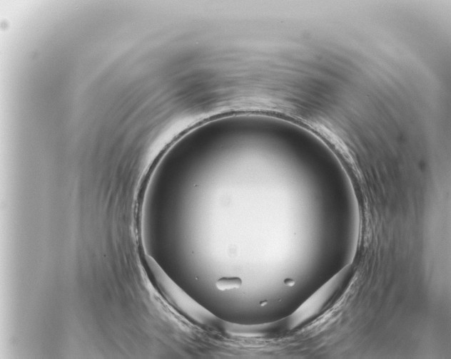 X0000086981342200704231810