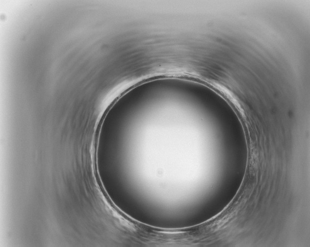 X0000086981343200704231810