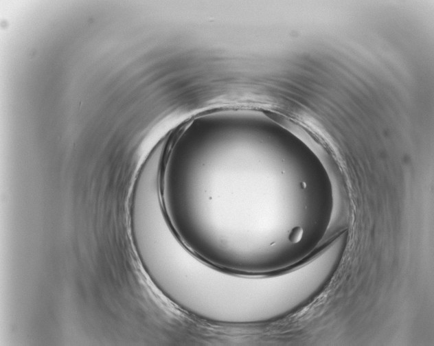 X0000086981344200704231810