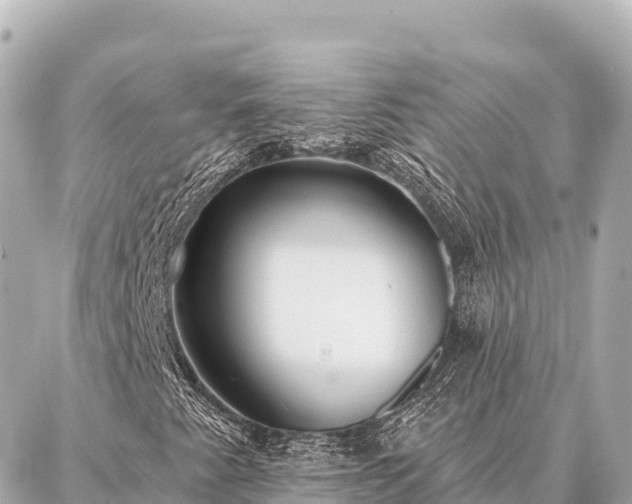 X0000086981345200704231809