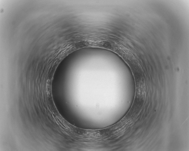 X0000086981346200704231809