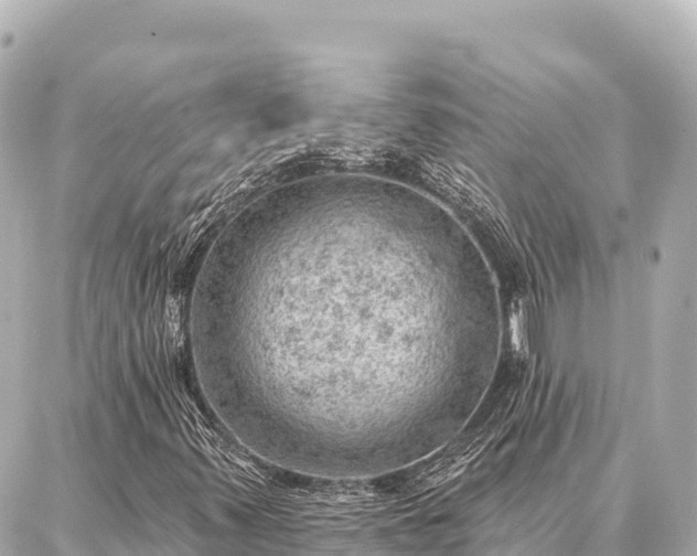 X0000086981347200704231809