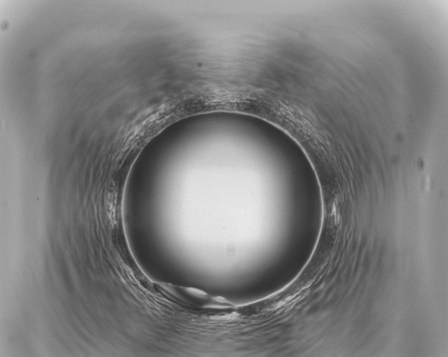 X0000086981348200704231809