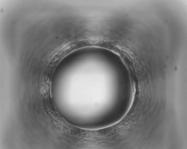 X0000086981349200704231809