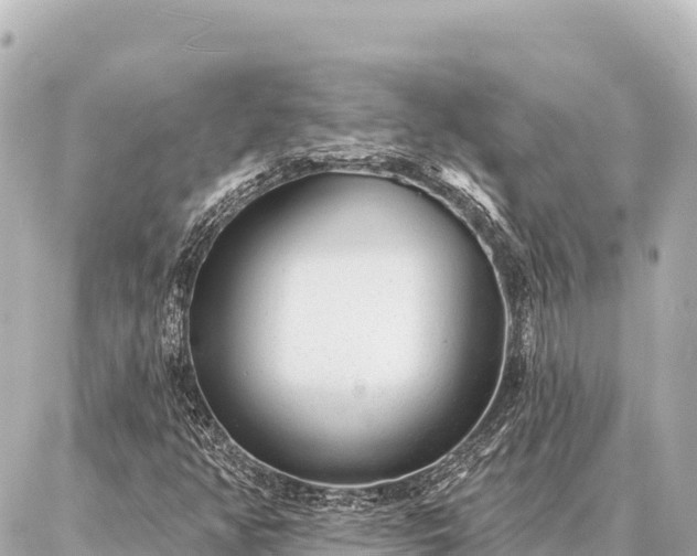 X0000086981350200704231809