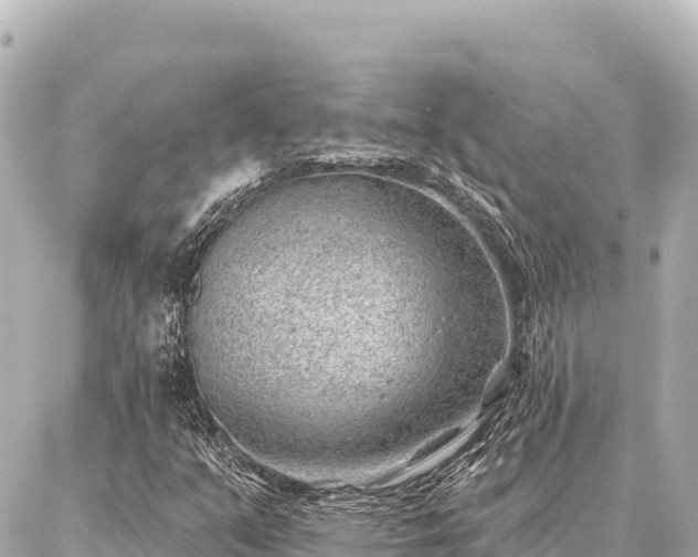 X0000086981351200704231809