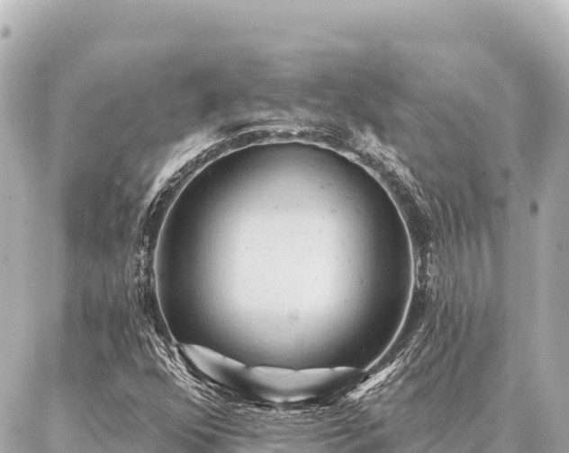 X0000086981352200704231809