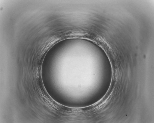 X0000086981353200704231809