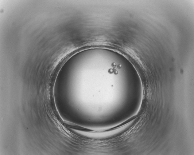 X0000086981356200704231809