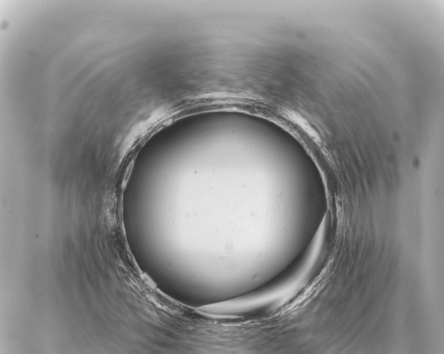 X0000086981357200704231809