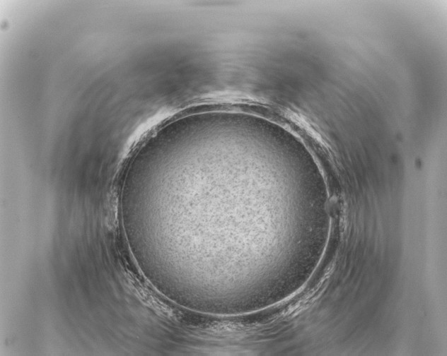 X0000086981358200704231809