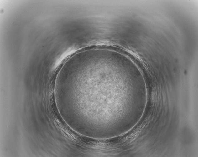 X0000086981359200704231809