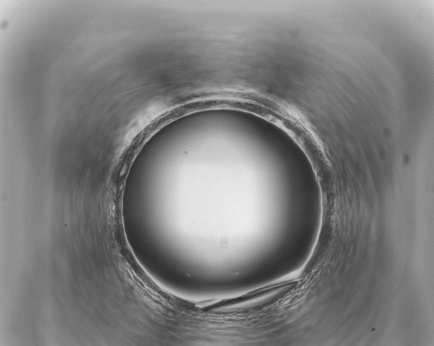 X0000086981360200704231809