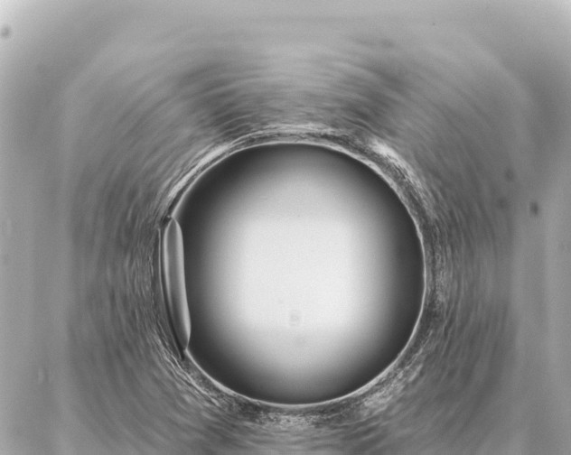 X0000086981361200704231809