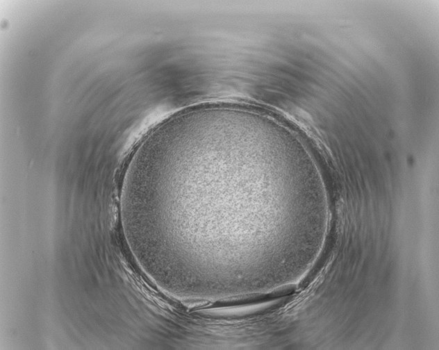 X0000086981363200704231809