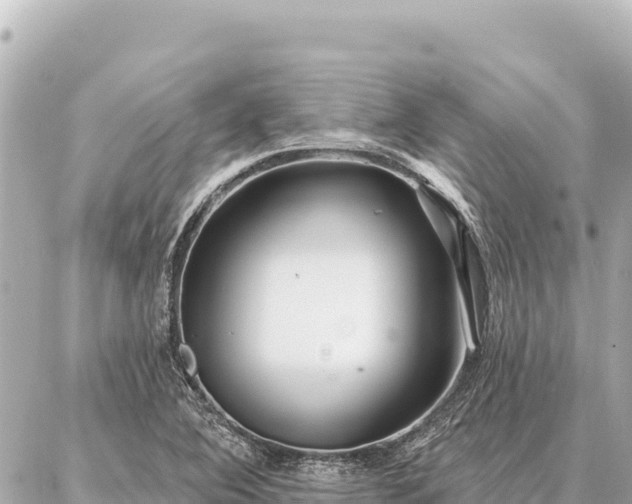 X0000086981364200704231809