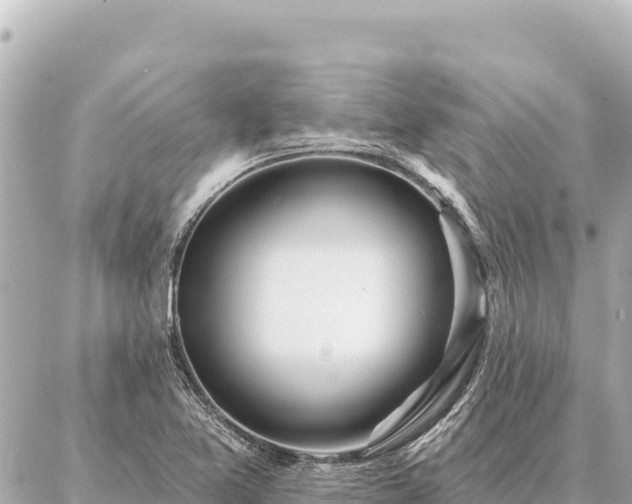 X0000086981365200704231809