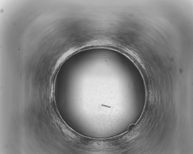 X0000086981366200704231809