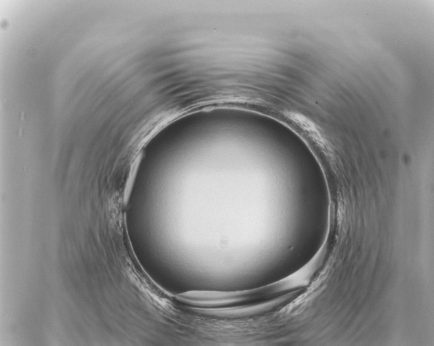 X0000086981369200704231809