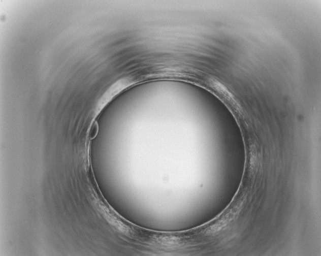 X0000086981370200704231809