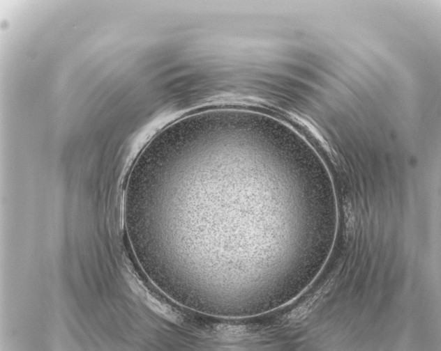 X0000086981371200704231809