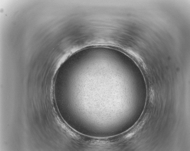 X0000086981374200704231809