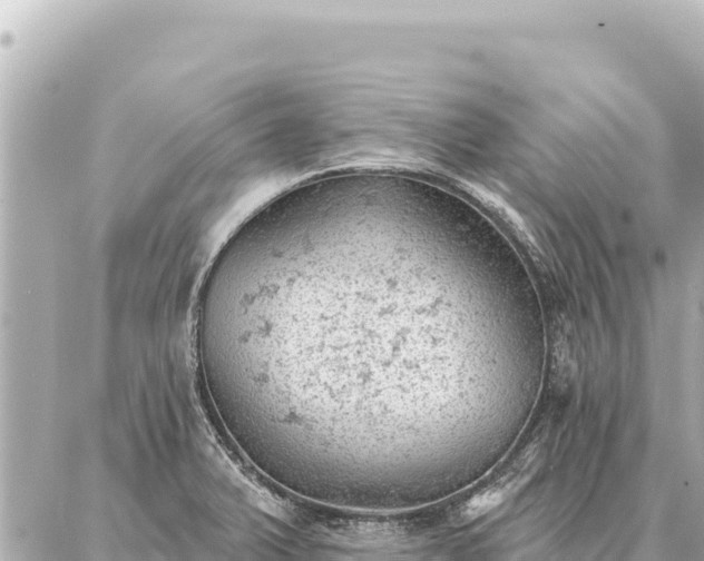 X0000086981375200704231809