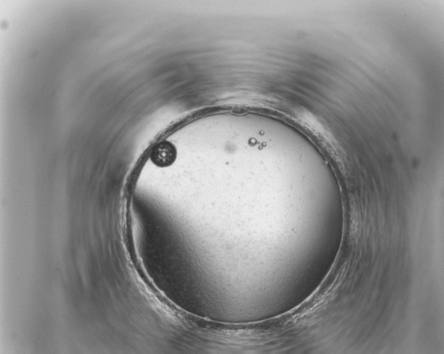 X0000086981376200704231809