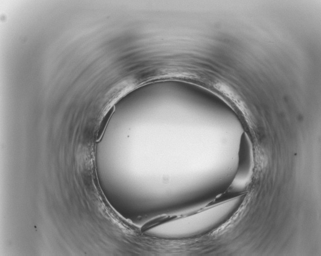 X0000086981377200704231809