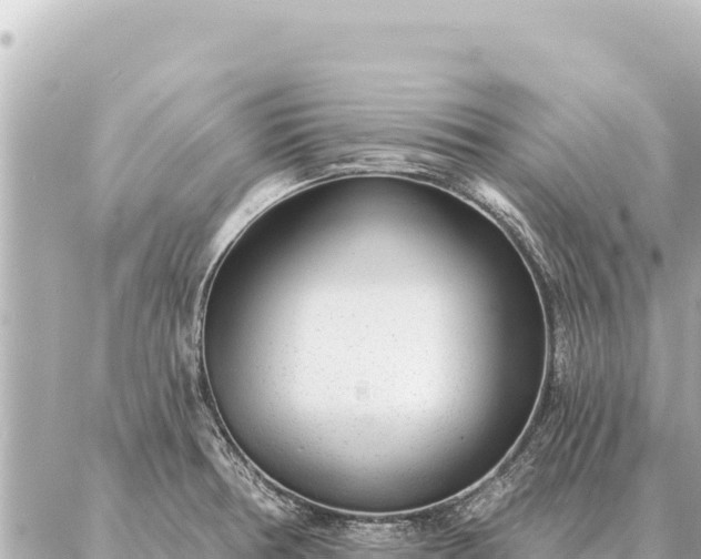 X0000086981378200704231809