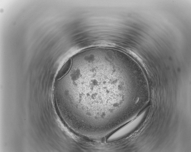 X0000086981379200704231808