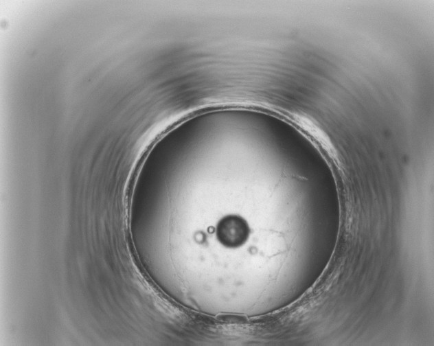 X0000086981380200704231808