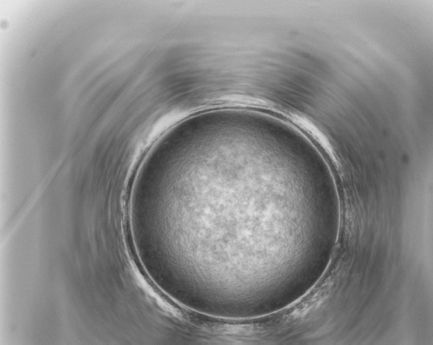 X0000086981381200704231808