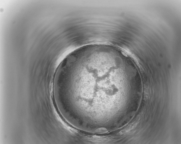 X0000086981383200704231808