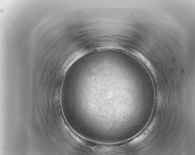 X0000086981385200704231808