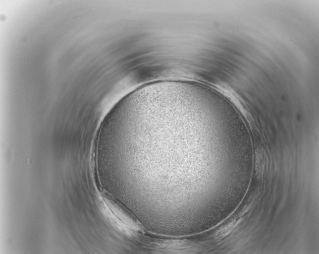 X0000086981387200704231808